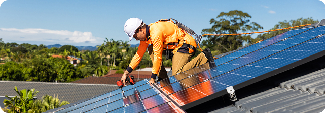 Наша команда